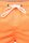 Regular Fit Shorts Herren Mid Waist 25RS073 Orange 3XL