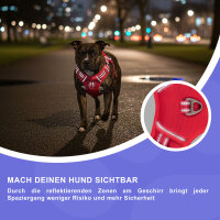 Reichstadt  RS Pets Norwegergeschirr  25RSP083